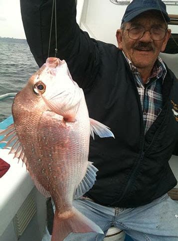 reef fishing charters sydney|Reef Kingfish Fishing Charters Sydney .